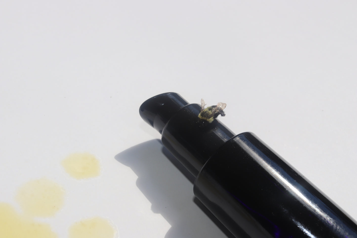 RESTORE Serum
